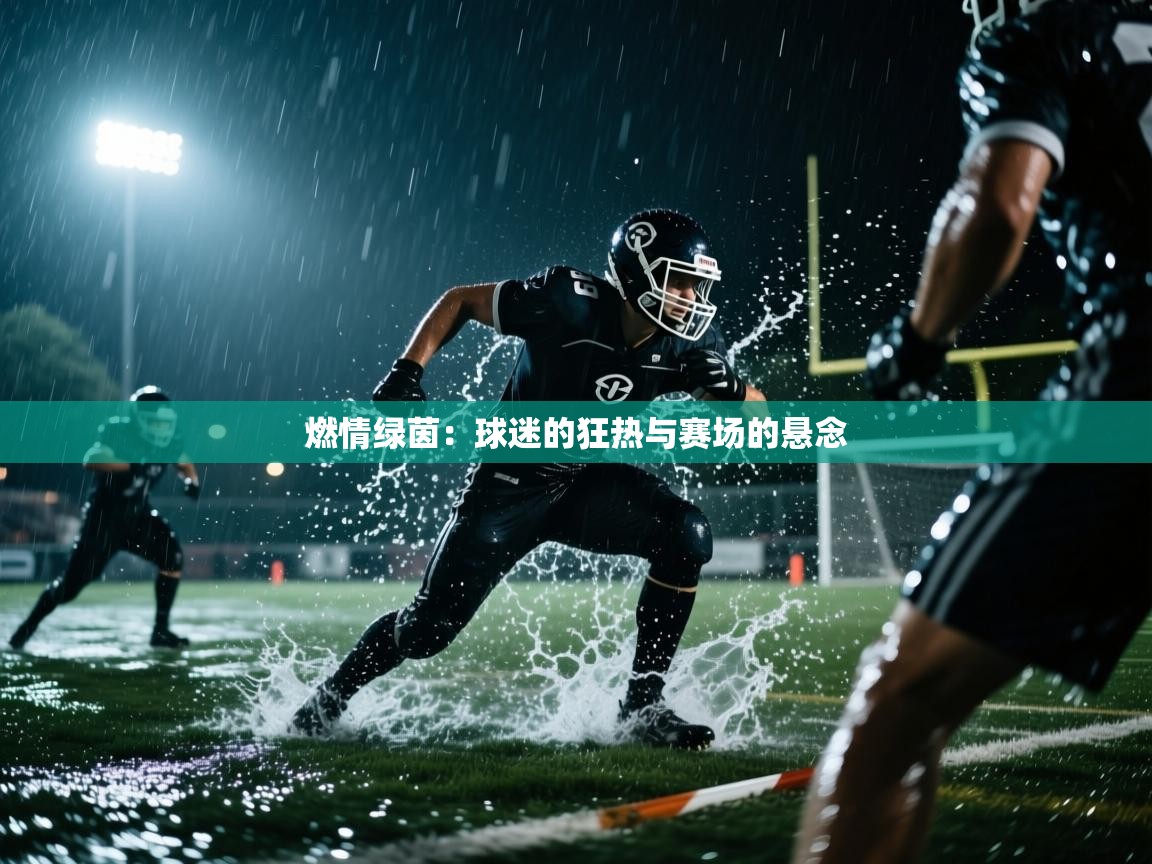 燃情绿茵：球迷的狂热与赛场的悬念  第1张